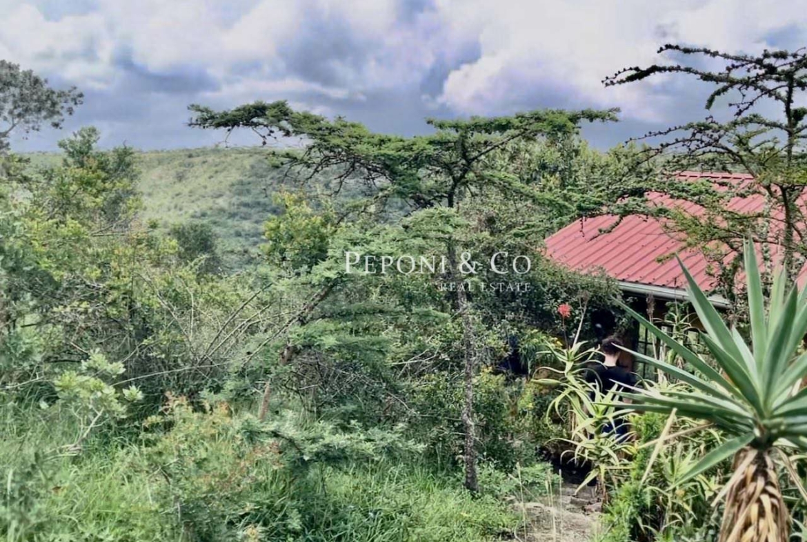 Champagne Ridge For Sale