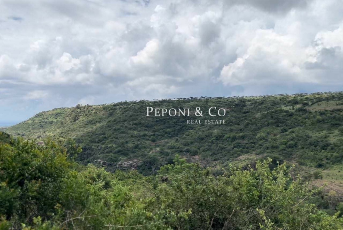 Champagne Ridge For Sale
