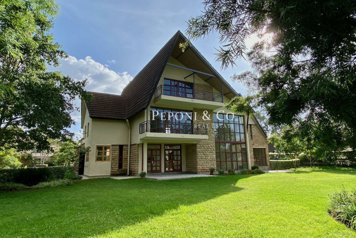 Stunning contemporary house for rent