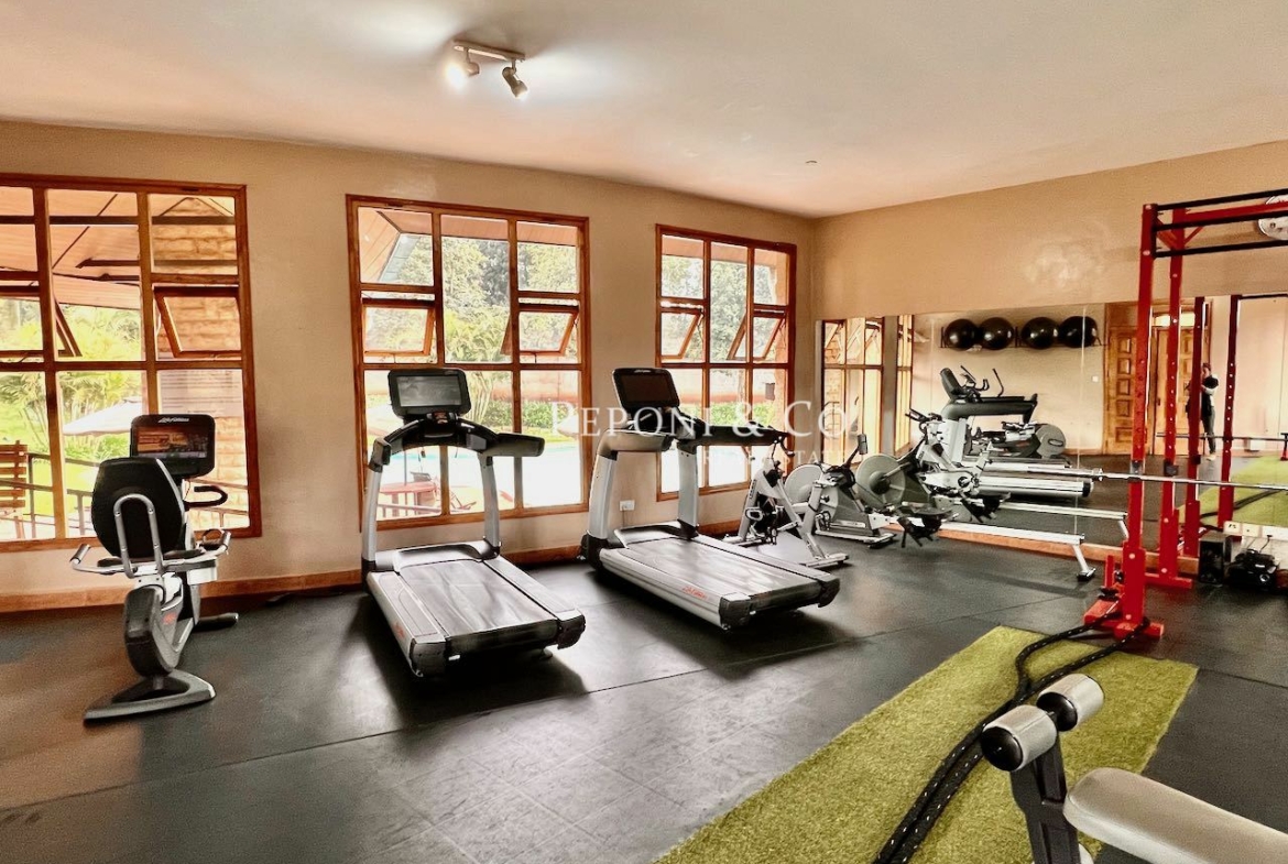 Stunning contemporary house for rent
