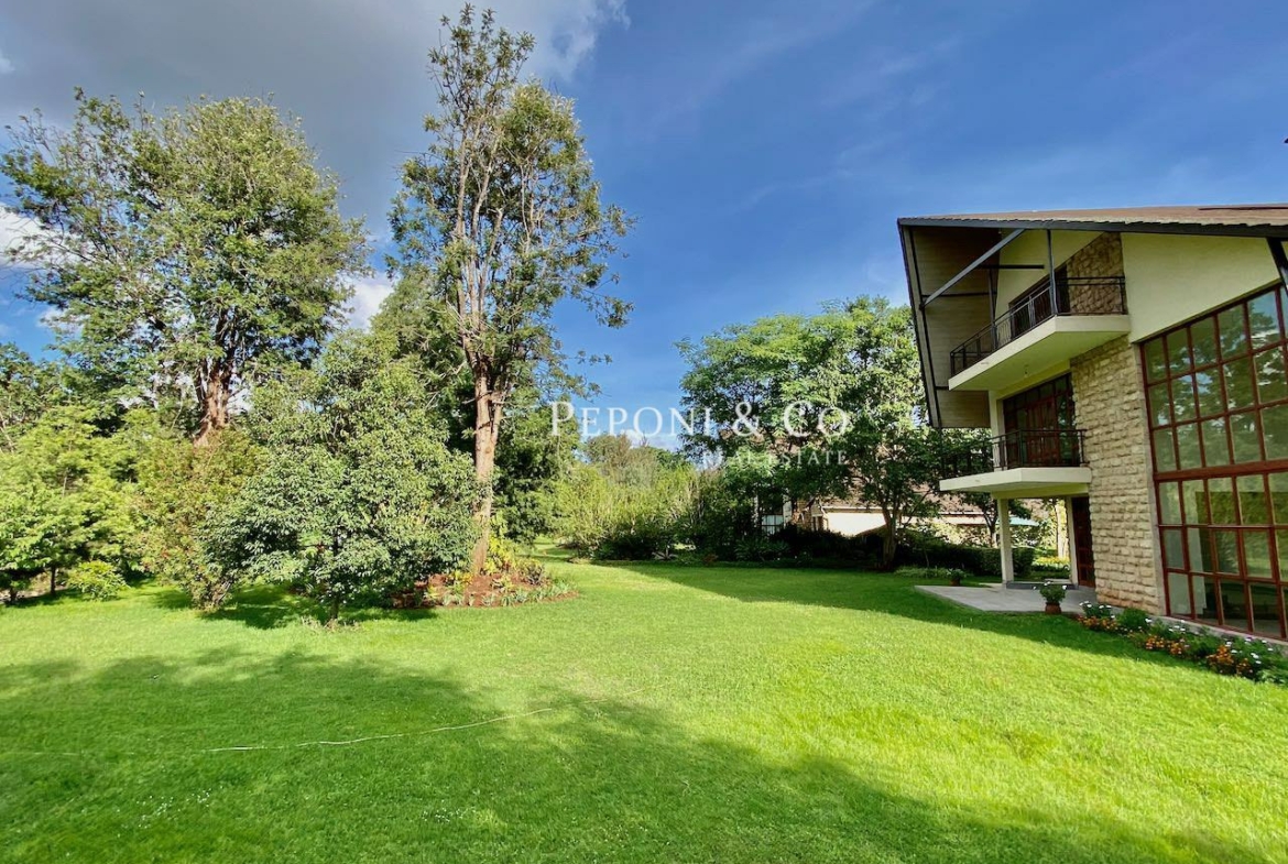 Stunning contemporary house for rent