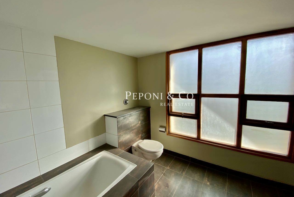 Stunning contemporary house for rent