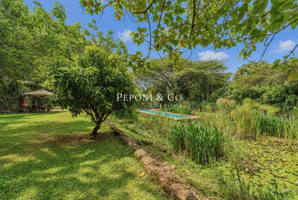 Unique Oloolua Home