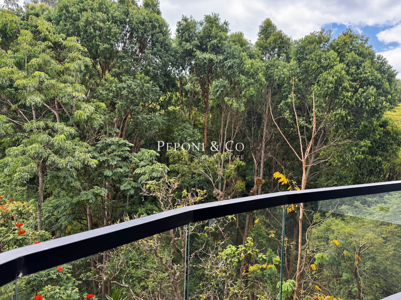 image Stunning apartment with woodland views